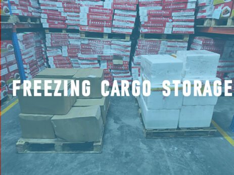 freezing storage service