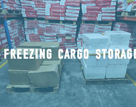 freezing storage service